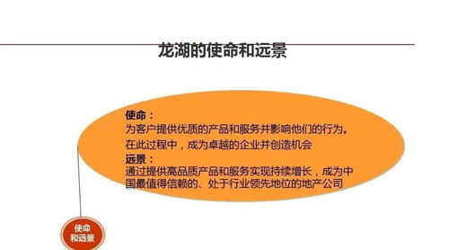 龍湖企業管理與運營精細化管理策略探討