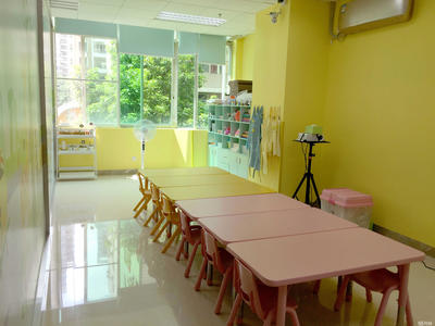 廣州童檸樹教育 專業(yè)信息咨詢，點亮成長之路